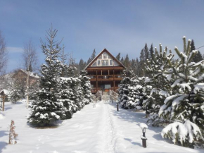 Ранчо в Карпатах Bukovel